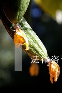 法律咨询公司需要办什么资质 法律咨询公司需要办什么资质