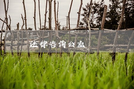法律咨询公益 法律咨询公益
