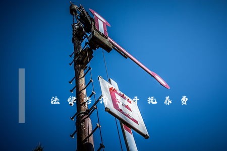 法律咨询关于抚养费 法律咨询关于抚养费