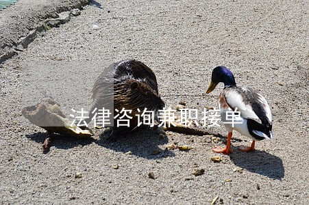 法律咨询兼职接单 法律咨询兼职接单