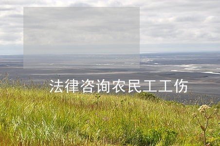 法律咨询农民工工伤 法律咨询农民工工伤