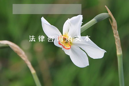 法律咨询函文本 法律咨询函文本