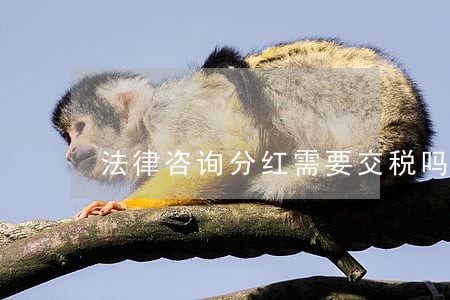 法律咨询分红需要交税吗 法律咨询分红需要交税吗