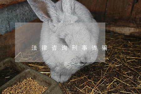 法律咨询刑事诈骗 法律咨询刑事诈骗