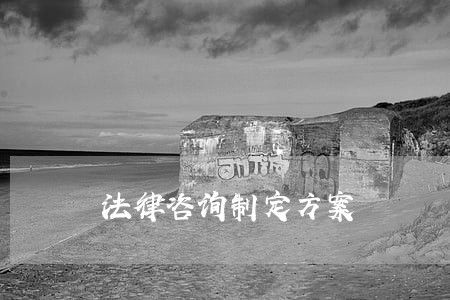 法律咨询制定方案 法律咨询制定方案