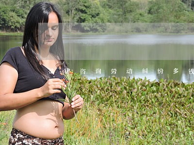 法律咨询劳动纠纷多钱 法律咨询劳动纠纷多钱