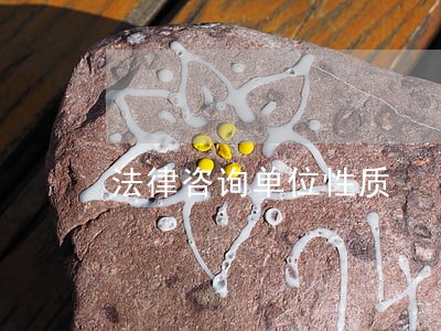 法律咨询单位性质