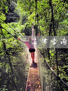 法律咨询南昌 法律咨询南昌