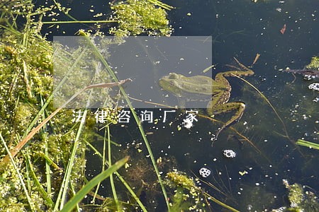 法律咨询厂家 法律咨询厂家