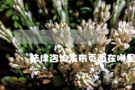 法律咨询发布页面在哪里 法律咨询发布页面在哪里