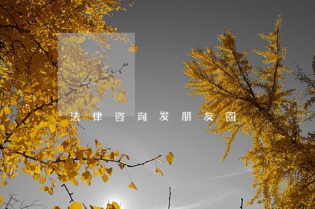 法律咨询发朋友圈