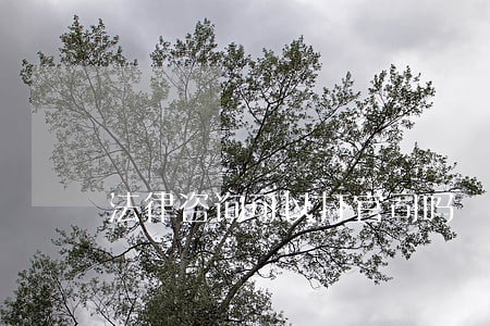 法律咨询可以打官司吗 法律咨询可以打官司吗