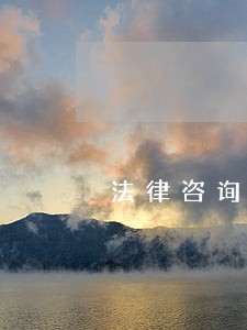 法律咨询台账 法律咨询台账