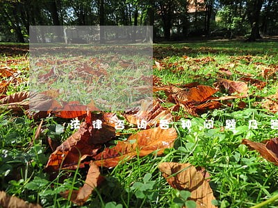 法律咨询各种问题及答案 法律咨询各种问题及答案