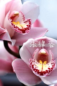 法律咨询合同协议 法律咨询合同协议