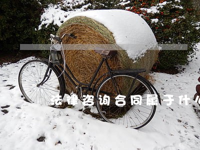 法律咨询合同属于什么 法律咨询合同属于什么