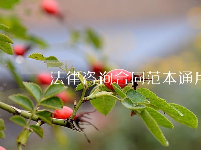 法律咨询合同范本通用版 法律咨询合同范本通用版