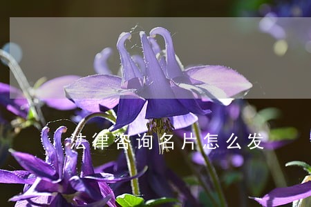 法律咨询名片怎么发 法律咨询名片怎么发