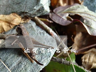 法律咨询名誉权 法律咨询名誉权
