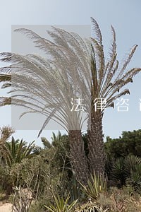 法律咨询员工会议偷拍 法律咨询员工会议偷拍