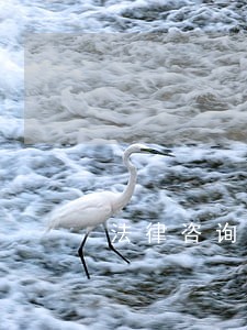 法律咨询和公司的区别 法律咨询和公司的区别
