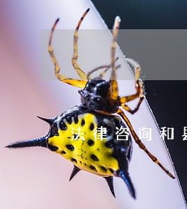 法律咨询和县 法律咨询和县