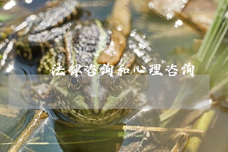 法律咨询和心理咨询 法律咨询和心理咨询