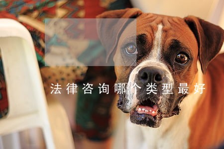 法律咨询哪个类型最好