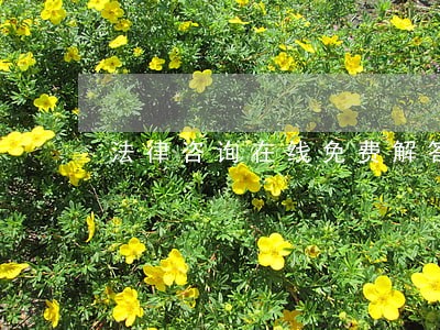 法律咨询在线免费解答 法律咨询在线免费解答