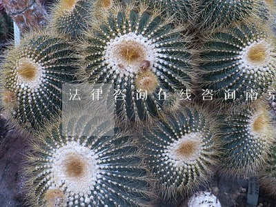 法律咨询在线咨询南京 法律咨询在线咨询南京