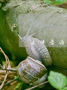 法律咨询在线咨询品牌侵权 法律咨询在线咨询品牌侵权