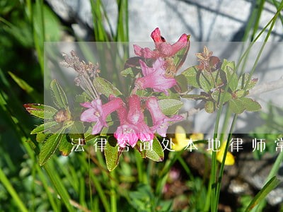 法律咨询处本地律师常德 法律咨询处本地律师常德