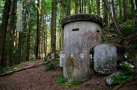 法律咨询大学生 法律咨询大学生