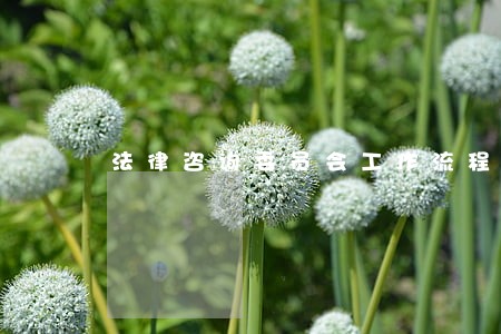 法律咨询委员会工作流程 法律咨询委员会工作流程