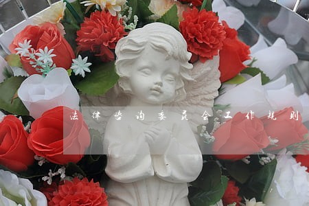 法律咨询委员会工作规则 法律咨询委员会工作规则