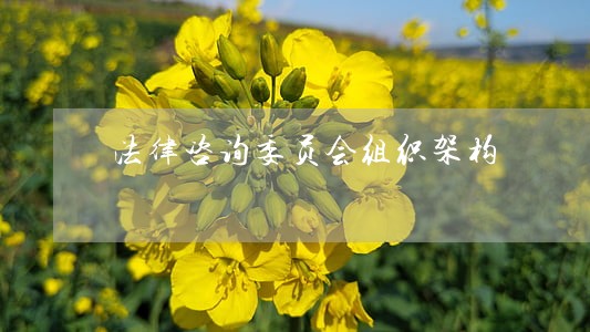 法律咨询委员会组织架构 法律咨询委员会组织架构