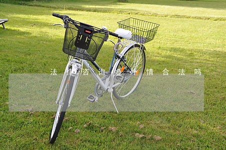 法律咨询婚外情合法吗