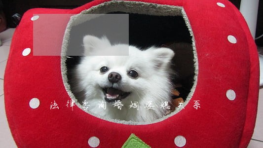 法律咨询婚姻婆媳关系 法律咨询婚姻婆媳关系