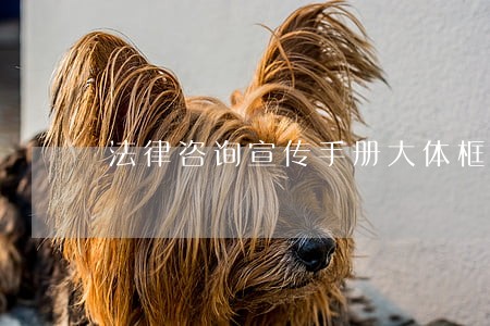 法律咨询宣传手册大体框架 法律咨询宣传手册大体框架