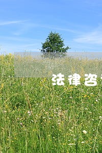 法律咨询室布置图室 法律咨询室布置图室
