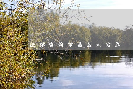 法律咨询家暴怎么定罪 法律咨询家暴怎么定罪