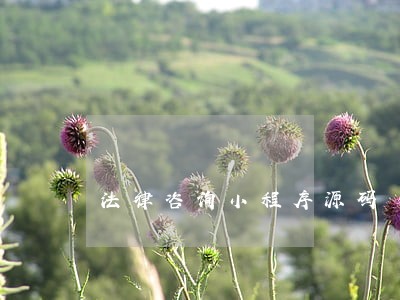 法律咨询小程序源码 法律咨询小程序源码