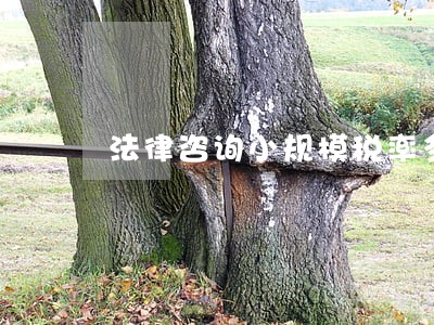 法律咨询小规模税率多少 法律咨询小规模税率多少