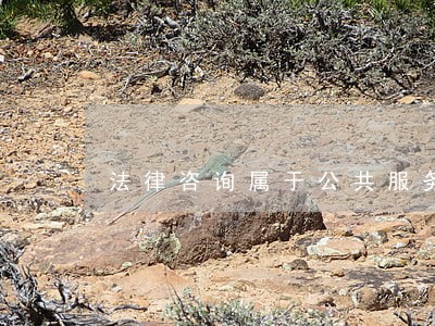 法律咨询属于公共服务业 法律咨询属于公共服务业