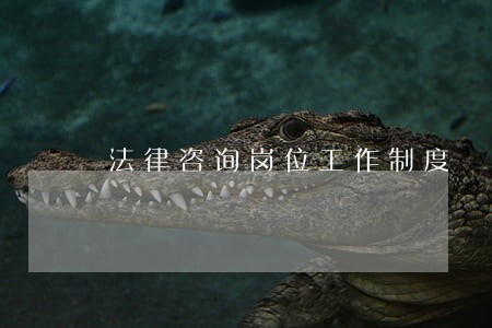 法律咨询岗位工作制度 法律咨询岗位工作制度
