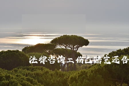 法律咨询工伤己赔完还告有用吗