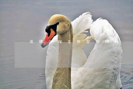 法律咨询工作室如何开 法律咨询工作室如何开