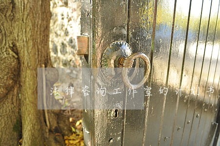 法律咨询工作室的计划书 法律咨询工作室的计划书