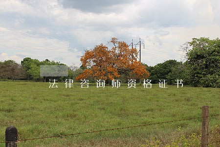 法律咨询师资格证书 法律咨询师资格证书