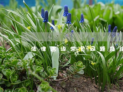 法律咨询常见问题及法条 法律咨询常见问题及法条